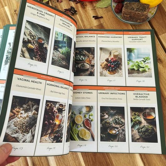 The Herbal Scan Guide